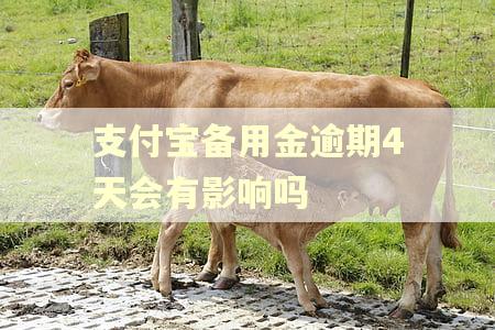 支付宝备用金逾期4天会有影响吗