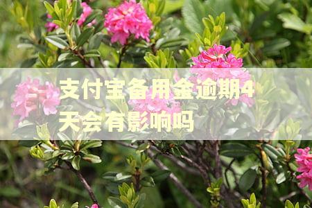 支付宝备用金逾期4天会有影响吗