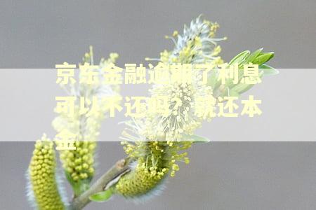 京东金融逾期了利息可以不还吗？就还本金