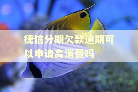 捷信分期欠款逾期可以申请高消费吗