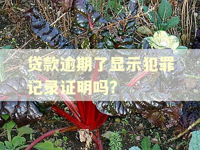 贷款逾期了显示犯罪记录证明吗?