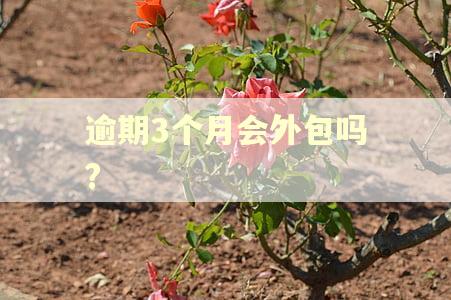 逾期3个月会外包吗?