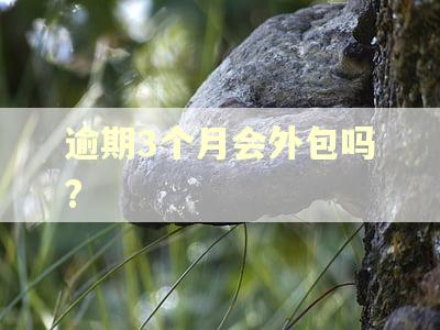 逾期3个月会外包吗?