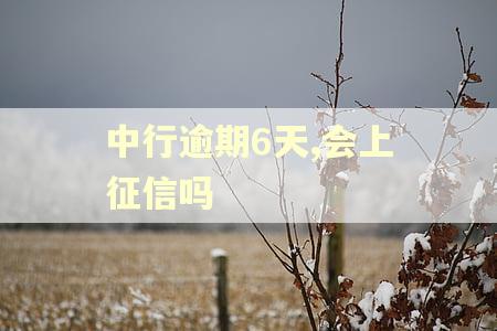 中行逾期6天,会上征信吗