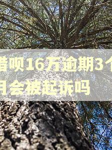 借呗16万逾期3个月会被起诉吗