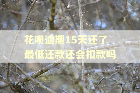 花呗逾期15天还了最低还款还会扣款吗