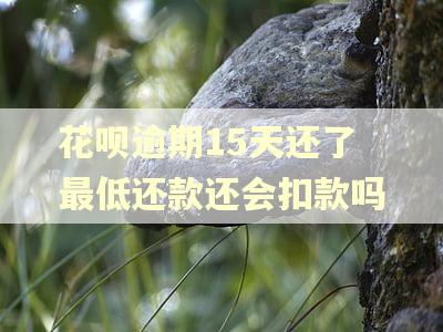 花呗逾期15天还了最低还款还会扣款吗