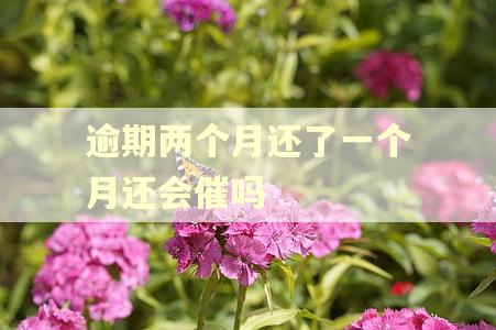 逾期两个月还了一个月还会催吗