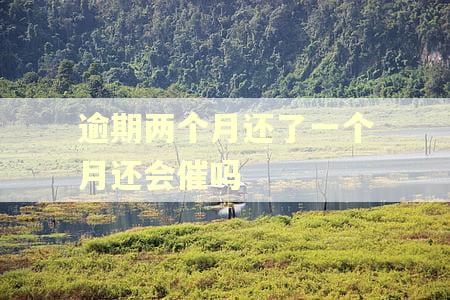 逾期两个月还了一个月还会催吗