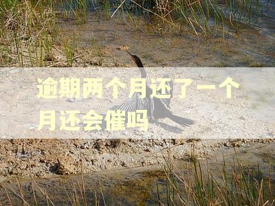 逾期两个月还了一个月还会催吗