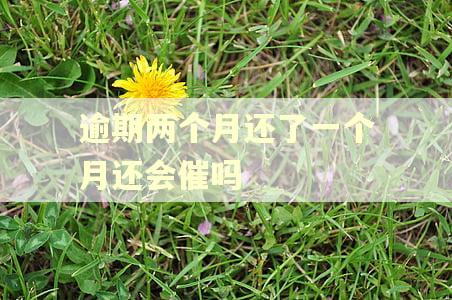 逾期两个月还了一个月还会催吗