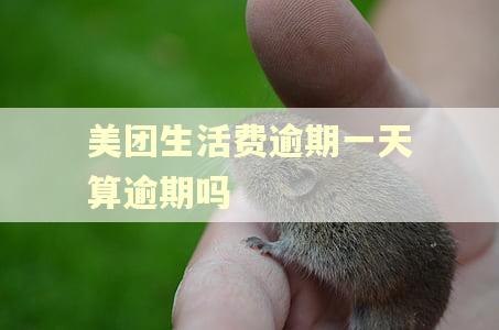 美团生活费逾期一天算逾期吗