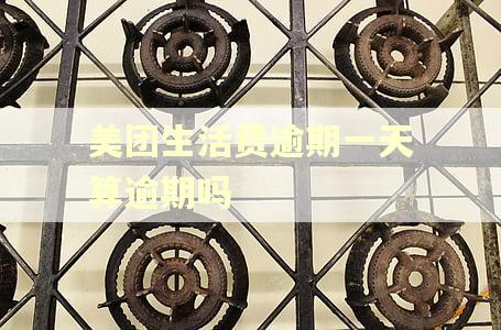 美团生活费逾期一天算逾期吗
