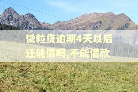 微粒贷逾期4天以后还能借吗,不能借款