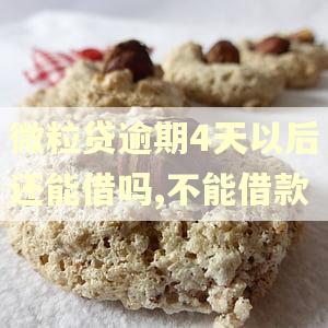 微粒贷逾期4天以后还能借吗,不能借款