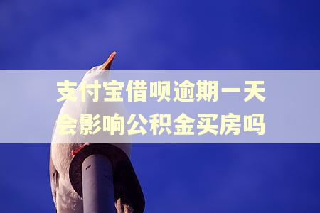 支付宝借呗逾期一天会影响公积金买房吗