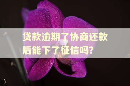 贷款逾期了协商还款后能下了征信吗？