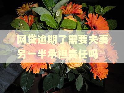 网贷逾期了需要夫妻另一半承担责任吗