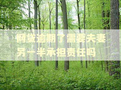 网贷逾期了需要夫妻另一半承担责任吗