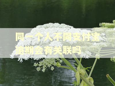 同一个人不同支付宝逾期会有关联吗