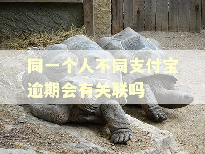 同一个人不同支付宝逾期会有关联吗