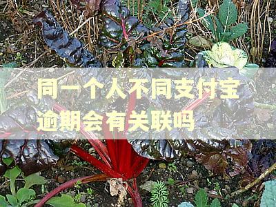 同一个人不同支付宝逾期会有关联吗