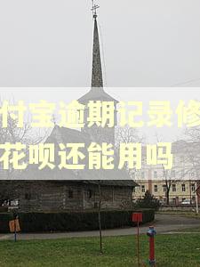 支付宝逾期记录修复后花呗还能用吗