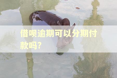 借呗逾期可以分期付款吗?