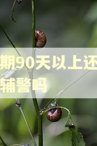 逾期90天以上还能考辅警吗
