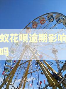 蚂蚁花呗逾期影响政审吗