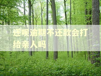 还呗逾期不还款会打给亲人吗