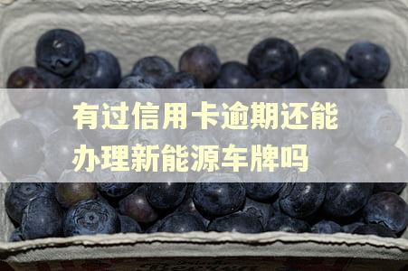有过信用卡逾期还能办理新能源车牌吗