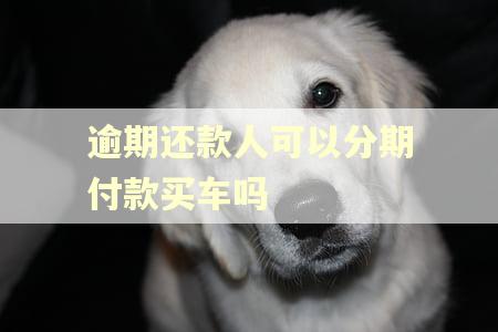 逾期还款人可以分期付款买车吗