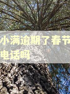 度小满逾期了春节会打电话吗 度小满逾期了春节会打电话吗