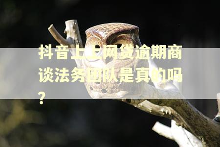 抖音上上网贷逾期商谈法务团队是真的吗？