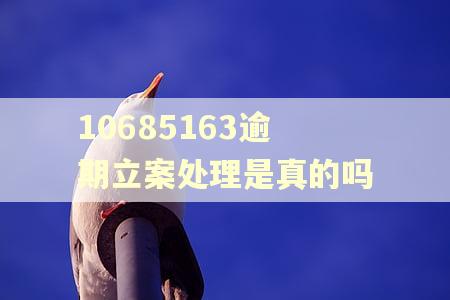 10685163逾期立案处理是真的吗