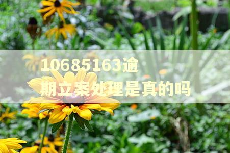 10685163逾期立案处理是真的吗