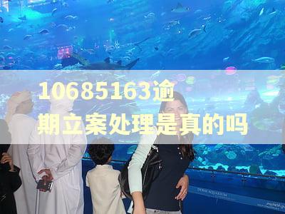10685163逾期立案处理是真的吗