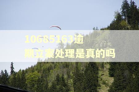 10685163逾期立案处理是真的吗