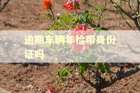 逾期车辆年检带身份证吗