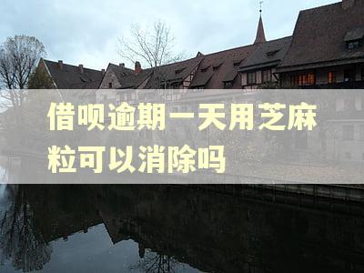 借呗逾期一天用芝麻粒可以消除吗
