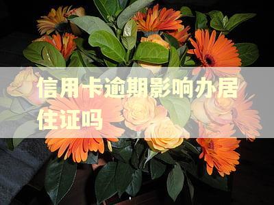 信用卡逾期影响办居住证吗