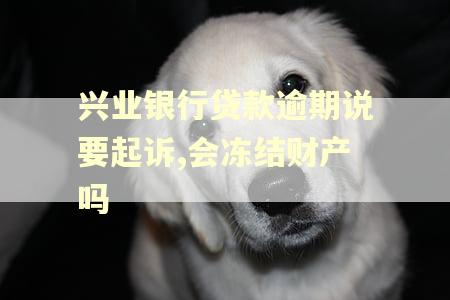 兴业银行贷款逾期说要起诉,会冻结财产吗
