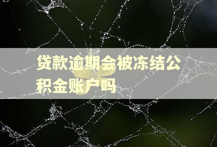 贷款逾期会被冻结公积金账户吗