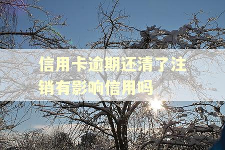 信用卡逾期还清了注销有影响信用吗