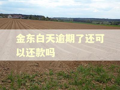 金东白天逾期了还可以还款吗