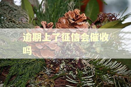 逾期上了征信会催收吗 逾期上了征信会催收吗