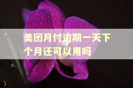 美团月付逾期一天下个月还可以用吗