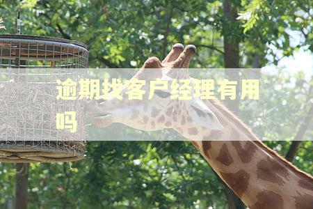 逾期找客户经理有用吗