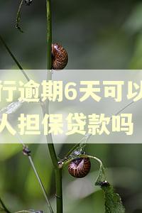 建行逾期6天可以给别人担保贷款吗